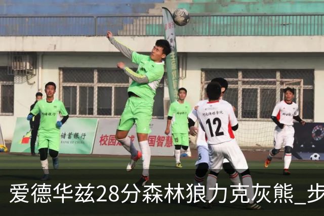 爱德华兹28分森林狼力克灰熊 步行者险胜国王
